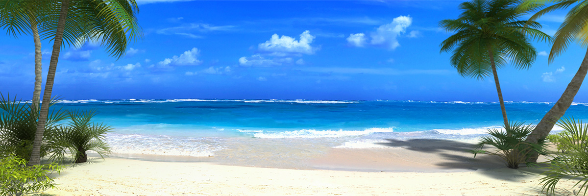 Beach Panoramic